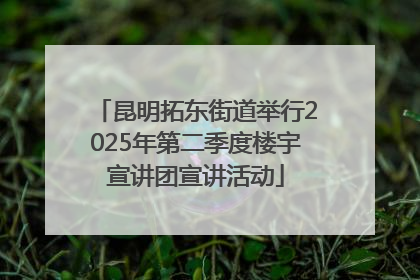 昆明拓东街道举行2025年第二季度楼宇宣讲团宣讲活动