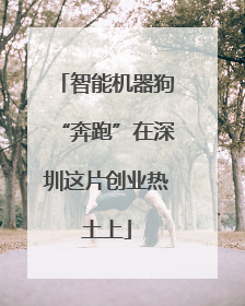 智能机器狗“奔跑”在深圳这片创业热土上