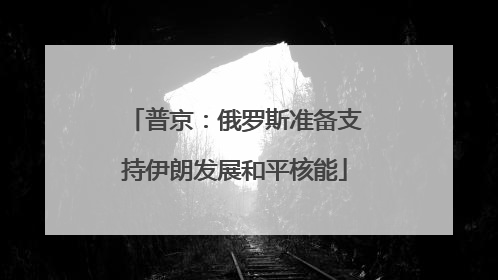 普京：俄罗斯准备支持伊朗发展和平核能