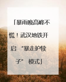 暴雨晚高峰不慌！武汉地铁开启 “暴走护犊子” 模式