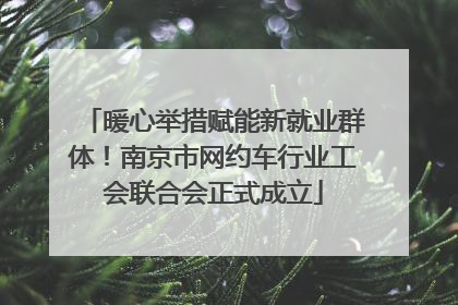 暖心举措赋能新就业群体！南京市网约车行业工会联合会正式成立