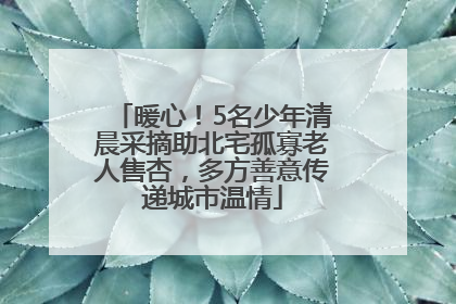 暖心！5名少年清晨采摘助北宅孤寡老人售杏，多方善意传递城市温情