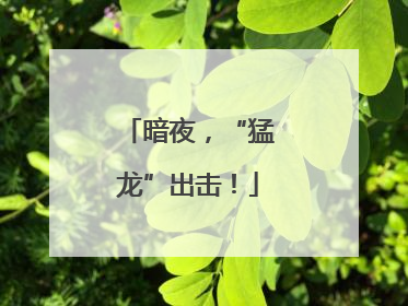 暗夜，“猛龙”出击！