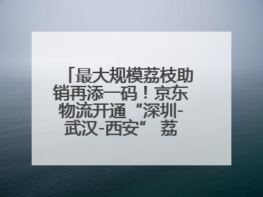 最大规模荔枝助销再添一码！京东物流开通“深圳-武汉-西安” 荔枝全货机航线