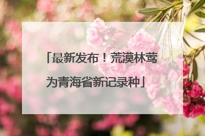 最新发布！荒漠林莺为青海省新记录种