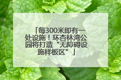 每300米即有一处设施！环杏林湾公园将打造“无障碍设施样板区”