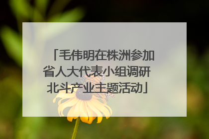 毛伟明在株洲参加省人大代表小组调研北斗产业主题活动