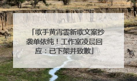 歌手黄霄雲新歌文案抄袭单依纯！工作室凌晨回应：已下架并致歉
