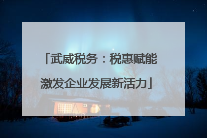 武威税务：税惠赋能 激发企业发展新活力