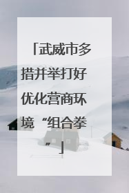武威市多措并举打好优化营商环境“组合拳”