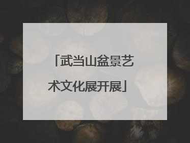 武当山盆景艺术文化展开展
