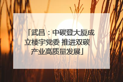 武昌：中碳登大厦成立楼宇党委 推进双碳产业高质量发展