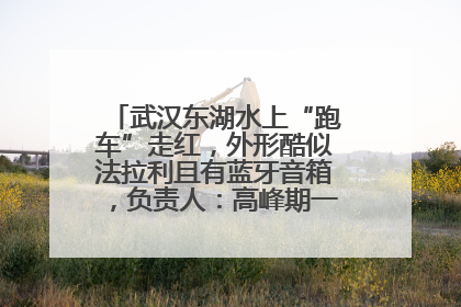 武汉东湖水上“跑车”走红，外形酷似法拉利且有蓝牙音箱，负责人：高峰期一两百人排队