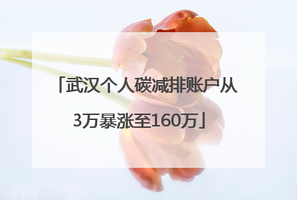 武汉个人碳减排账户从3万暴涨至160万