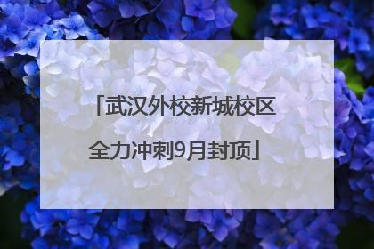 武汉外校新城校区全力冲刺9月封顶