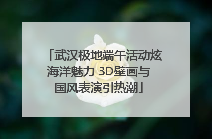 武汉极地端午活动炫海洋魅力 3D壁画与国风表演引热潮