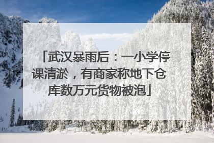 武汉暴雨后：一小学停课清淤，有商家称地下仓库数万元货物被泡