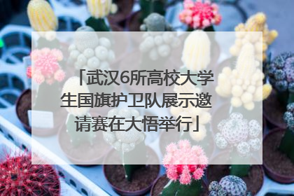 武汉6所高校大学生国旗护卫队展示邀请赛在大悟举行