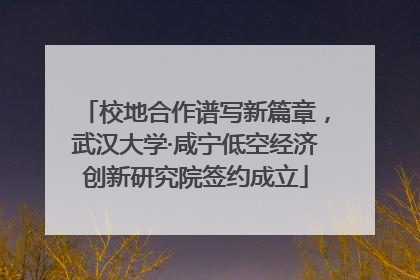 校地合作谱写新篇章，武汉大学·咸宁低空经济创新研究院签约成立