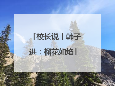 校长说丨韩子进：榴花如焰
