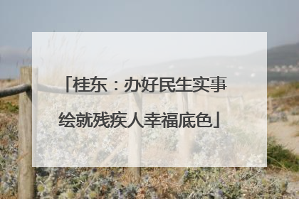 桂东：办好民生实事 绘就残疾人幸福底色