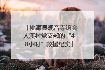 桃源县观音寺镇会人溪村党支部的“48小时”救援纪实