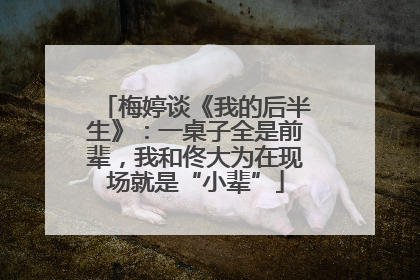 梅婷谈《我的后半生》：一桌子全是前辈，我和佟大为在现场就是“小辈”