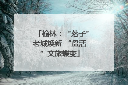 榆林：“落子”老城焕新 “盘活”文旅蝶变