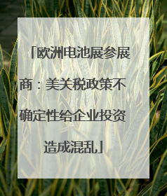 欧洲电池展参展商：美关税政策不确定性给企业投资造成混乱