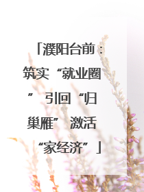 濮阳台前：筑实“就业圈” 引回“归巢雁” 激活“家经济”
