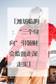 潍坊临朐：“三个导向”引领财会监督走深走实
