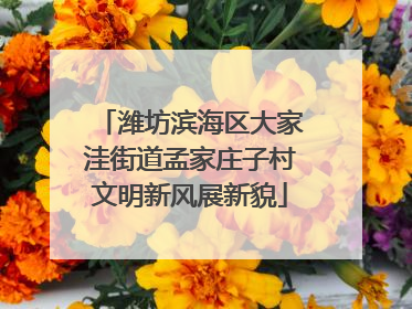 潍坊滨海区大家洼街道孟家庄子村文明新风展新貌