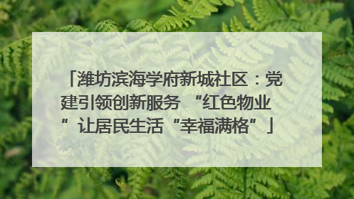 潍坊滨海学府新城社区：党建引领创新服务 “红色物业”让居民生活“幸福满格”
