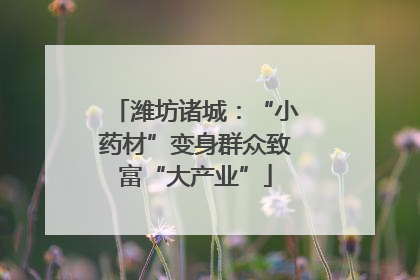 潍坊诸城：“小药材”变身群众致富“大产业”
