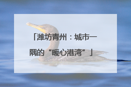 潍坊青州：城市一隅的“暖心港湾”