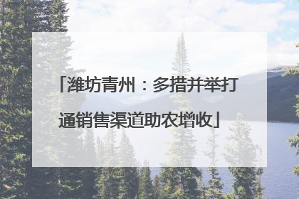 潍坊青州：多措并举打通销售渠道助农增收
