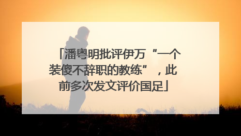 潘粤明批评伊万“一个装傻不辞职的教练”，此前多次发文评价国足