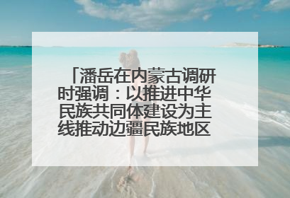 潘岳在内蒙古调研时强调：以推进中华民族共同体建设为主线推动边疆民族地区高质量发展
