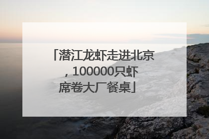 潜江龙虾走进北京，100000只虾席卷大厂餐桌