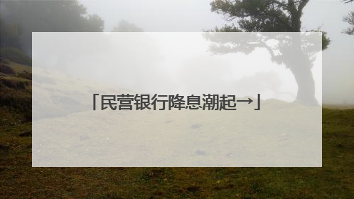 民营银行降息潮起→