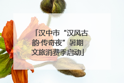 汉中市“汉风古韵·传奇夜”暑期文旅消费季启动