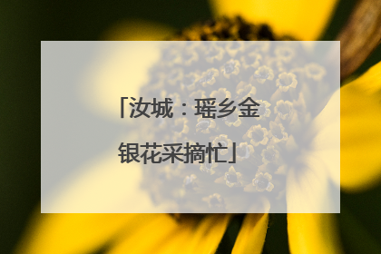 汝城：瑶乡金银花采摘忙