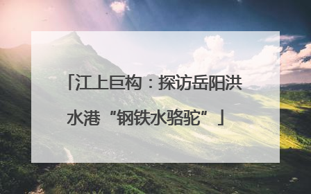 江上巨构：探访岳阳洪水港“钢铁水骆驼”