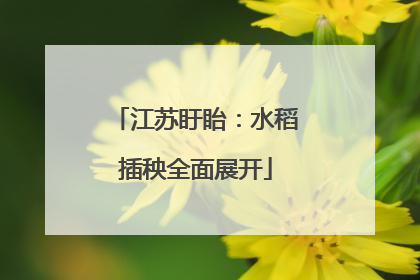 江苏盱眙：水稻插秧全面展开