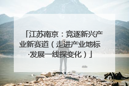江苏南京：竞逐新兴产业新赛道（走进产业地标·发展一线探变化）