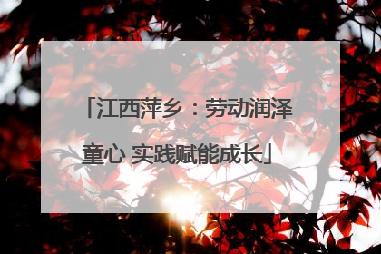 江西萍乡：劳动润泽童心 实践赋能成长