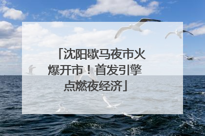 沈阳歇马夜市火爆开市！首发引擎点燃夜经济