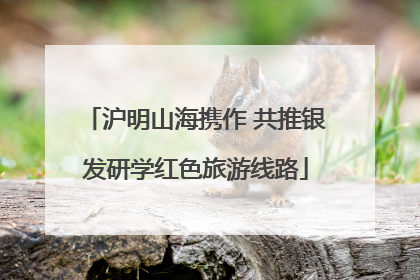 沪明山海携作 共推银发研学红色旅游线路