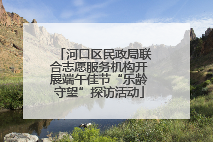 河口区民政局联合志愿服务机构开展端午佳节“乐龄守望”探访活动