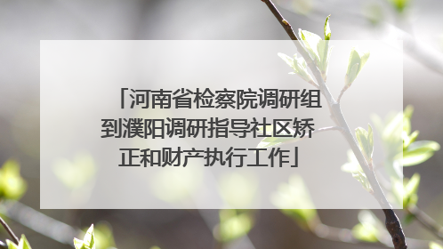 河南省检察院调研组到濮阳调研指导社区矫正和财产执行工作